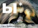 Замкнутый круг <small><small>(серия Блиц 2/7)</small></small>