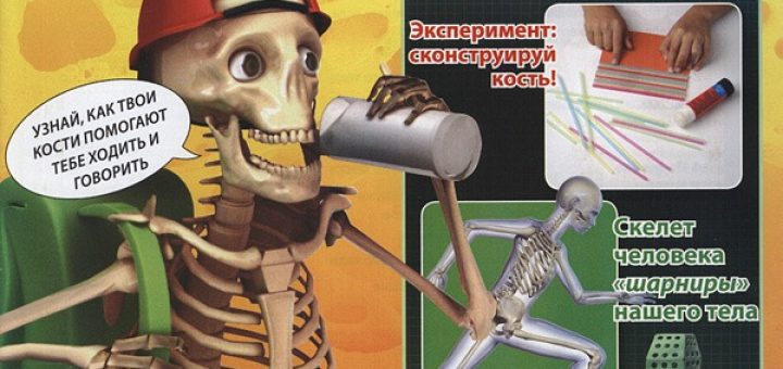 Обложка журнала ЧЕЛОВЕЧЕСКОЕ ТЕЛО
