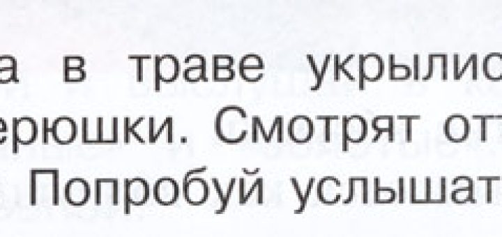 "Нет ли у вас поющей травы?"