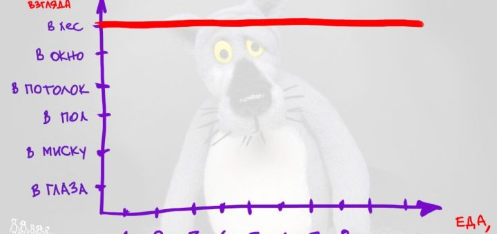 Что в графике твоём?
