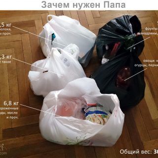 Зачем нужен папа