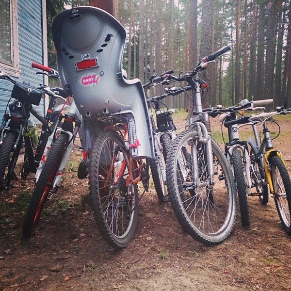 гости приехали!
