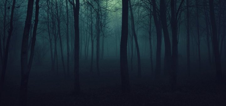 Бегаем по тёмному лесу