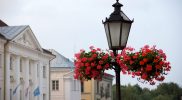 Вертикальное озеленение на фонарях Тарту
